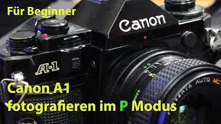 Die Canon A1 als Point and Shoot - fotografieren im P Modus