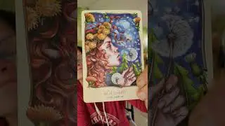 Live highlight, Collective Divine Fae Card Reading for October 22nd, 2025. Love and Blessings, Ya'll
