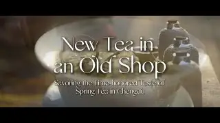 New Tea in an Old shop Savoring the Time-honored Taste of Spring Tea in Chengdu