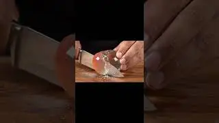 SATISFYING VIDEOS | ASMR VIDEOS | PEACH CUTTING 🍑 #asmr #satisfyling