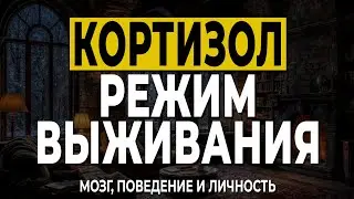 Кортизол: почему стресс управляет твоим поведением