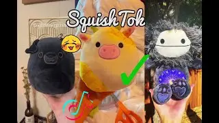 Squishmallow tiktok compilation for the best hunting places for squisdoos