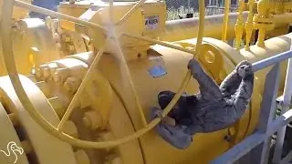 Sloth Using His Hands To Turn A Wheel Is Mesmerizing