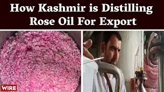 How Kashmir is Distilling Rose Oil For Export | Jammu & Kashmir