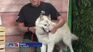 Pet Connection Dakota 8-18-25