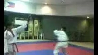540 spin hook kick