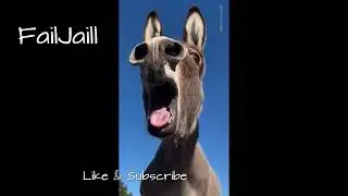 FailJaill //Failreaction#2