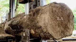 The production process of 400cm long teak wood beams at the sawmill #04