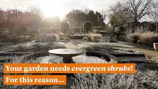 Winter structure - Why gardens don't always need more colour | The RHS