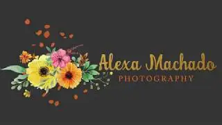 5 Image Video Portfolio