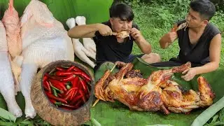 Survival Skills: Catch And Grill Chicken Spicy For Lunch - Eating Chicken Food In The Jungle