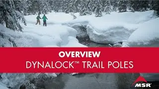 MSR DynaLock&trade; Trail Poles