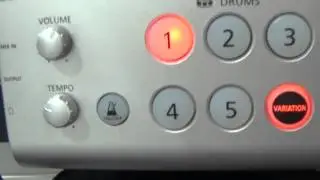 Roland HD-1