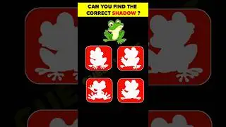 Eyes Challenge | Can You Find The Correct Shadow ➡️2 | Test Your Eyes #shorts #viral #riddles