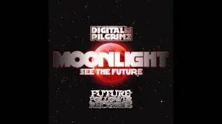Digital Pilgrimz - See The Future