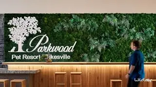 Seamless Moss Wall Installation Process | Biophilic Design