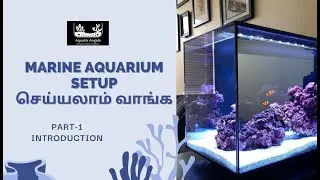 Marine aquarium setup tamil | Part-1 Introduction
