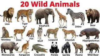20 जंगली जानवरों के नाम बच्चों के लिए | Learn Wild Animals Names in English and Hindi