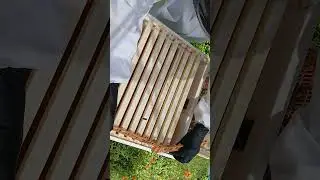 New Bee Assistant needs your help with views, Subscriptions & comment$!!!