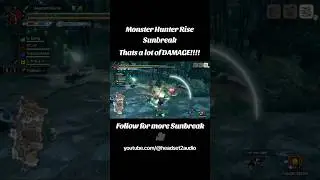 That's a Lot of DAMAGE!!!! - Monster Hunter Rise Sunbreak