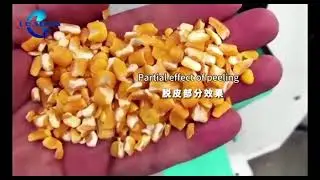 300-500 Kg/Hour Corn Integrated Peeling Milling Machine