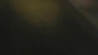 Blqg