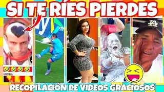 😆⏳LOS MEJORES VIDEOS GRACIOSOS DEL DÍA 🎊🍐 SI TE RÍES O SONRÍES LE DAS LIKE Y TE SUSCRIBES [VOL.388]