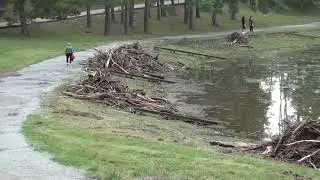Brněnská přehrada aktuálně