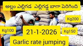అల్లం ఎల్లిగడ్డ చింతపండు ఆలుగడ్డ ఉల్లిగడ్డ హోల్ సేల్ ginger garlic wholesale market osman Ganj 🫚