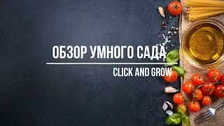 Обзор умного сада Click and Grow