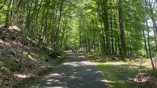 NY PUTNAM TRAILWAY 15 mi 2.5 hrs on JUNETEENTH w/ 9 + 10 year old. LOTS of shade on 90 F degree day