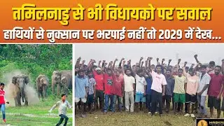 हाथियों से नुक्सान पर तमिलनाडु से विधायको कहे दिया || HO News video today jharkhand 