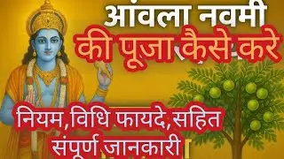 आंवला नवमी कि पूजा कैसे करें,नियम विधि,फायदे सहित संपूर्ण जानकारी|एक दान हजार अश्वमेघ यज्ञ के बराबर 