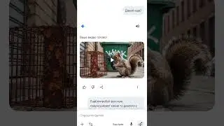 What do you think? Should I upload videos like this from Dzhemeni or is it pointless? How the hel...
