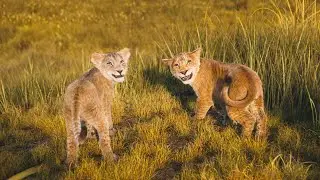 Mufasa: The Lion King - I Always Wanted A Brother  Music Video I 4K Ultra HD