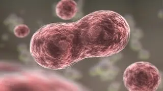 DIGITALmotion: Medical Animation Montage