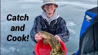 Burbot Catch and Cook!
