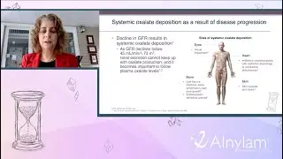 Оксалат и почки: первичная гипероксалурия на практике