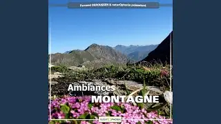 Casse-noix et Bec-crois&eacute;