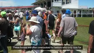 Simple Horse Racing Betting System