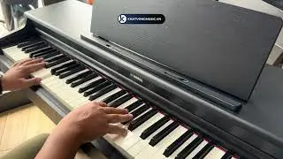 Piano Yamaha YDP-164 | Piano điện tối ưu cho người mới học