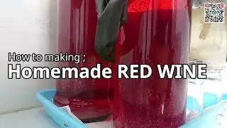 inspirasi UMKM ; How to Making Homemade RED WINE