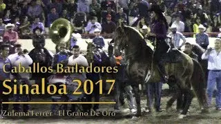 Caballos Bailadores Sinaloa | Zulema Ferrer - Caballo: Grano de Oro