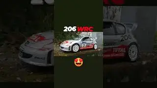 206 WRC champion du monde des rallye en 2000 🇨🇵🤩🇷🇪👌