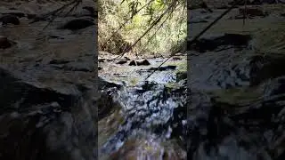 Koodaranji Stream #nature #river#stream #kozhikode #koodaranji #keralatourism #shorts #beautifulview