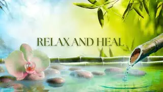 Piano Music with Nature Sounds for Relaxing  and Calm | Musica relajante para calmar la mente.