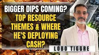 Top Resource Themes, Copper, Silver, Gold, Uranium and more - Lobo Tiggre