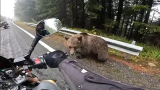 ​Medved nas presreo na putu! Vožnja motorom preko Transfagarašana (MK Prnjavor 07)