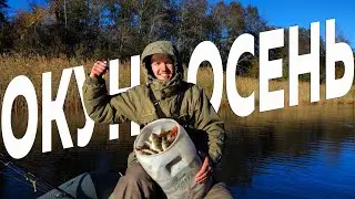 РАЗДАЧА ОСЕННЕГО ОКУНЯ НА ЛАДОГЕ. Рыбалка на окуня на джиг.
