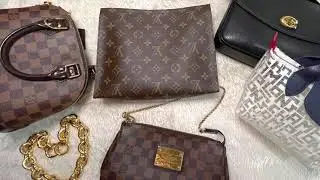 Samorga chunky chain 29 try on | LV Eva, Alma bb, Toiletry 26, Coach Cassie, longchamp pvc| mod shot